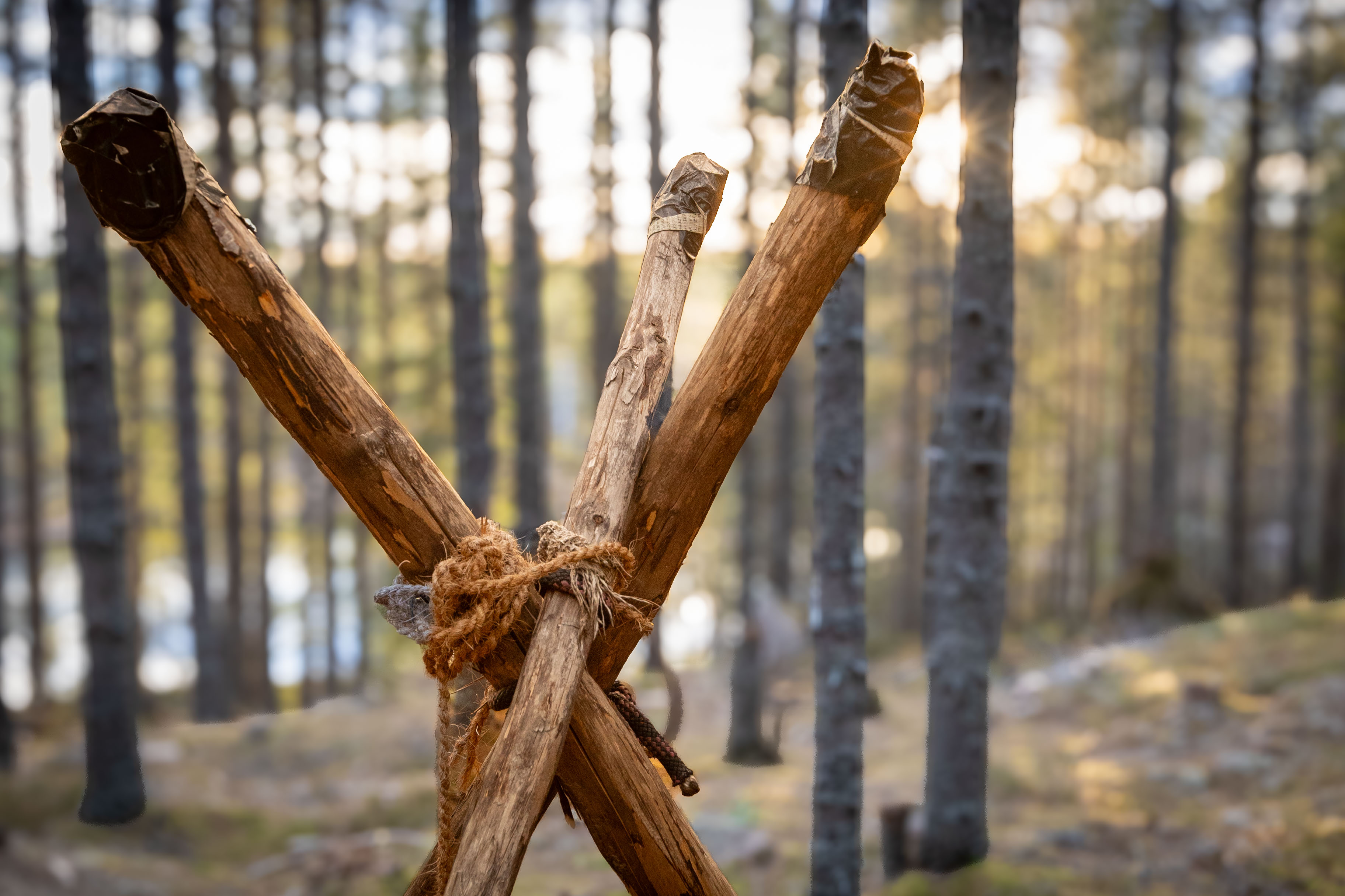 Trygg och säker upplevelse